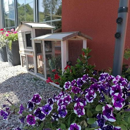 Gamtos Slenis Kaimo Turizmo Sodyba Bardinai Bagian luar foto