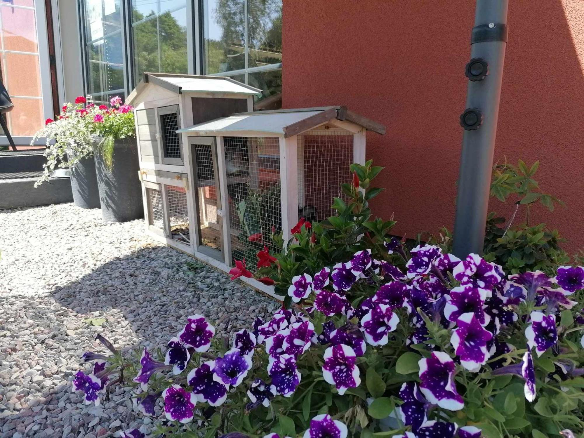 Gamtos Slenis Kaimo Turizmo Sodyba Bardinai Bagian luar foto